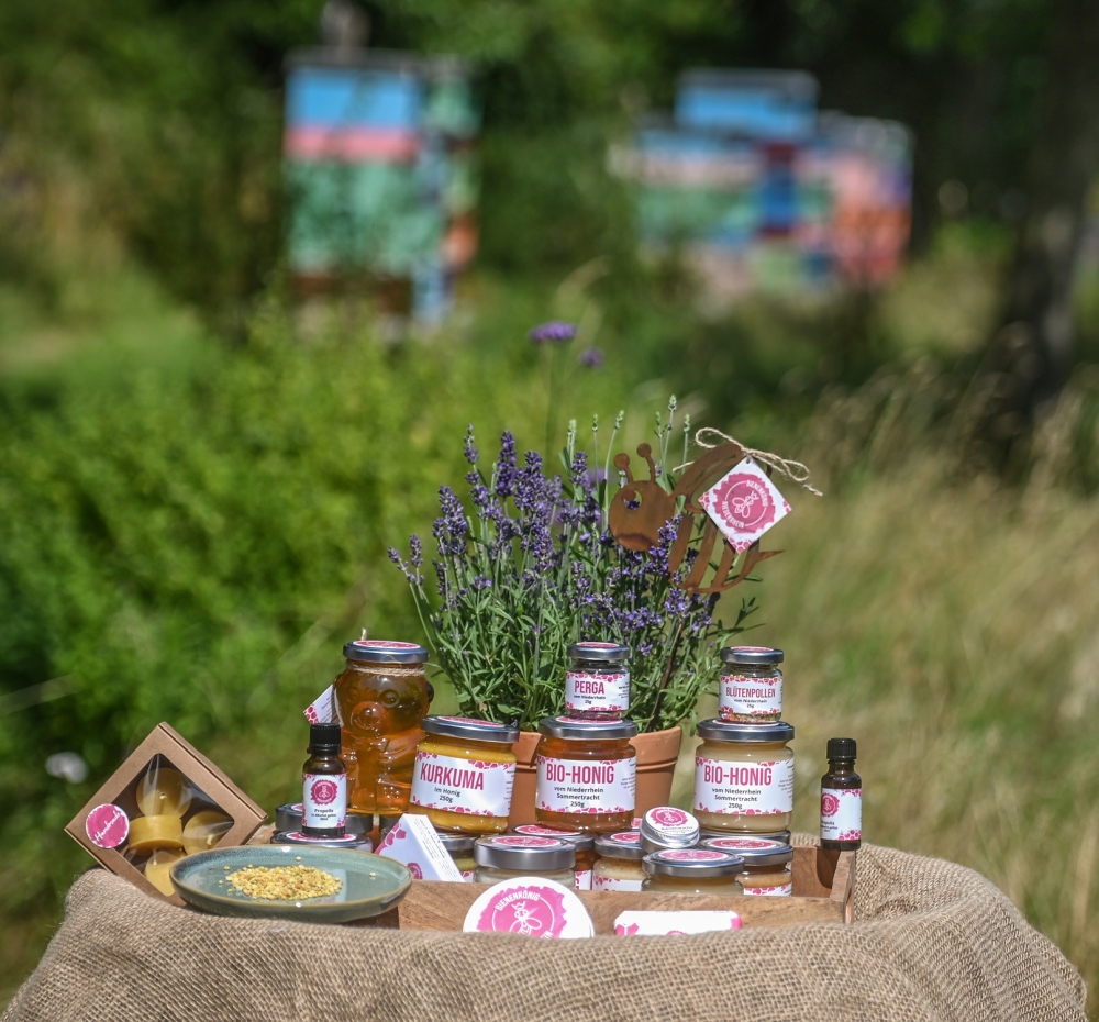 Sommertour 2024: Eine Million Bienen liefern Bio-Honig aus Bedburg-Hau >  | Wirtschaftsförderung Kreis Kleve